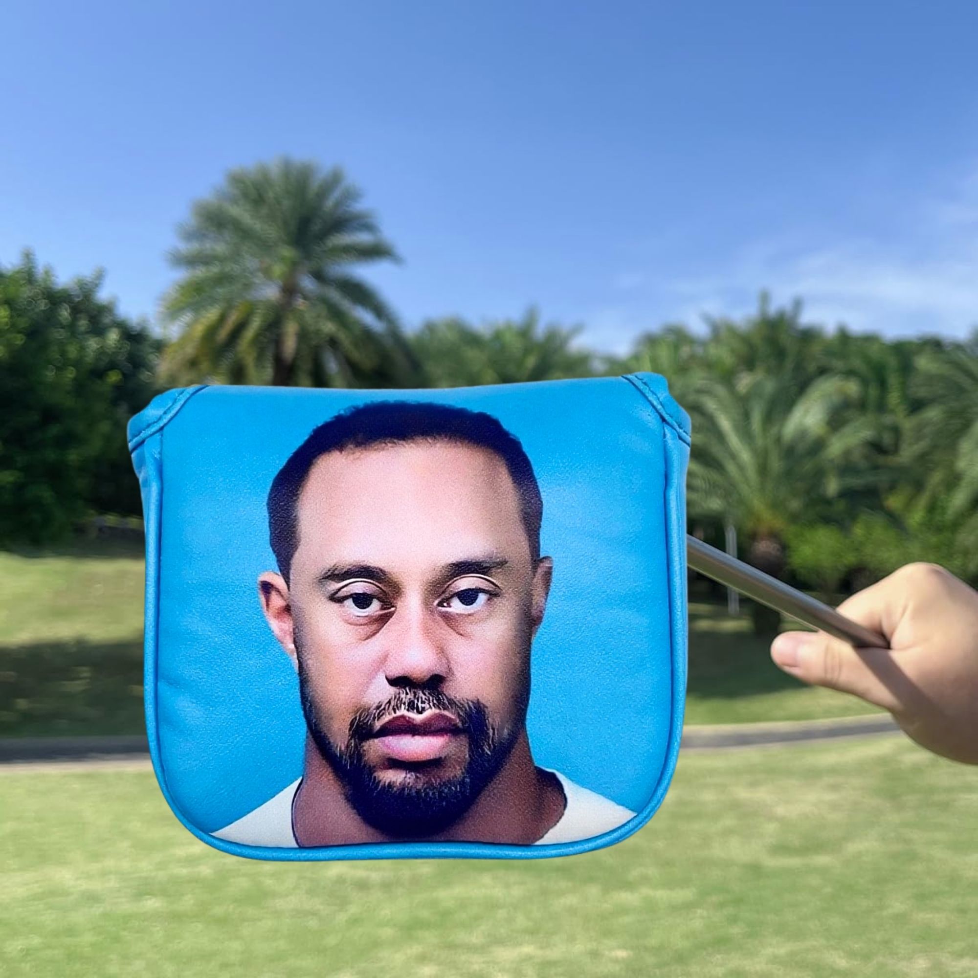 Funny Golf Mallet Putter Head  - Golf Equipment And Accessories review and price